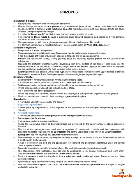Rhizopus - RHIZOPUS Distribution & Habitat Rhizopus has 35 species with ...