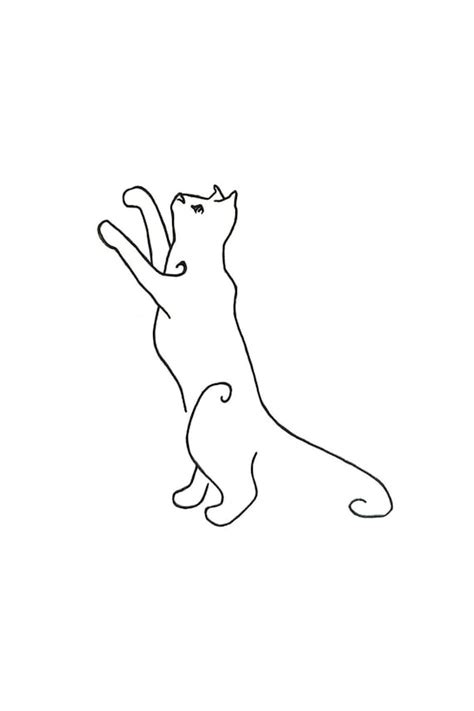 Cat Standing On Hind Legs Drawing