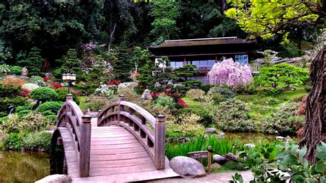 Cherishing the Cheerful Cherry Blossoms of Hakone – NBC Los Angeles