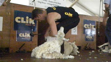 Irish sheep shearer finishes third in World Speed Shear event - Agriland.ie