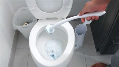 Are Clorox Toilet Wand Flushable: 5 Reasons to Avoid It