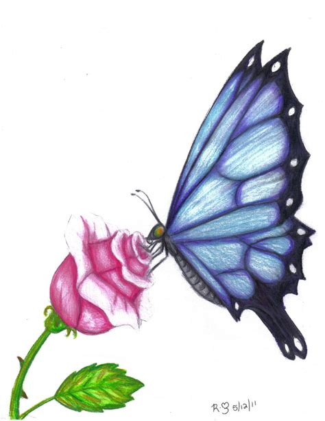 Butterfly Rose by evolra on DeviantArt