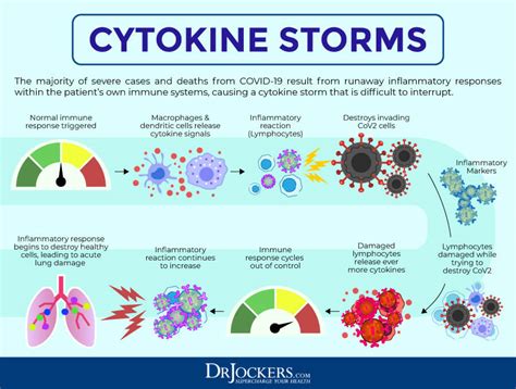 Immune Nutrients to Calm Cytokine Storm - DrJockers.com