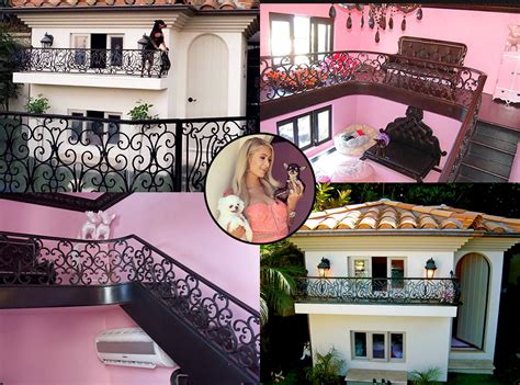 Kylie Jenner, Paris Hilton & More Stars Who Have Luxurious Pet Homes - Big World News