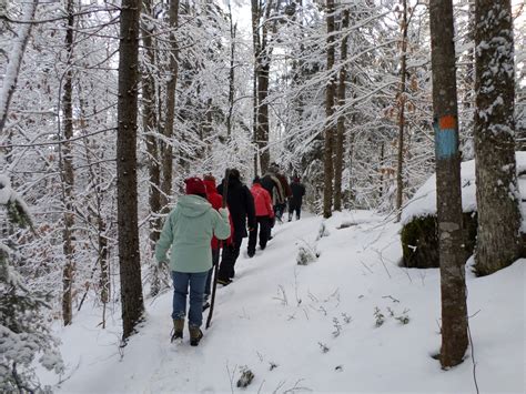 Join Vermont State Parks For Free First Day Hikes (and learn how to ...