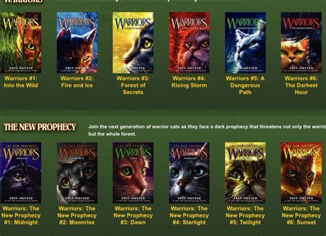 Warrior Cats Books Series 3 | Care About Cats