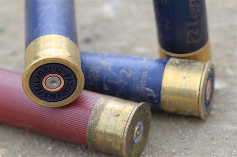 The Best Shotgun Ammo for Home Defense: Buckshot, Birdshot, Slugs?