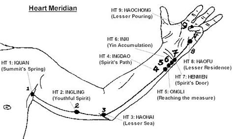 Heart meridian. | Acupressure points, Acupuncture, Meridian acupuncture