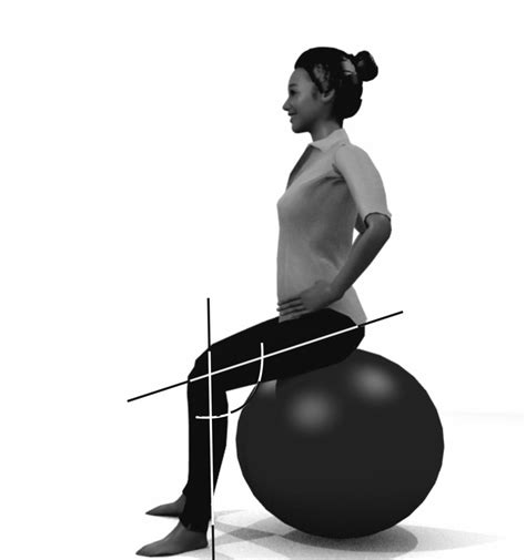 6 Best ball exercises for lower back for quick pain relief : Physiosunit