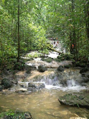 RUTA MISTICA DEL BOSQUE ENCANTADO (Puerto Rico) - 2022 Qué saber antes de ir - Lo más comentado ...