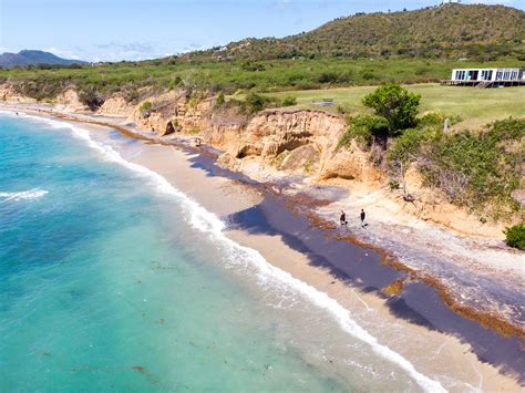 How to Plan the Perfect Island Getaway to Vieques, Puerto Rico