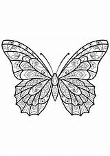Butterfly coloring pages For Preschool  Booystreaming sketch template