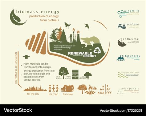 Free 33: Biomass Fuels Examples