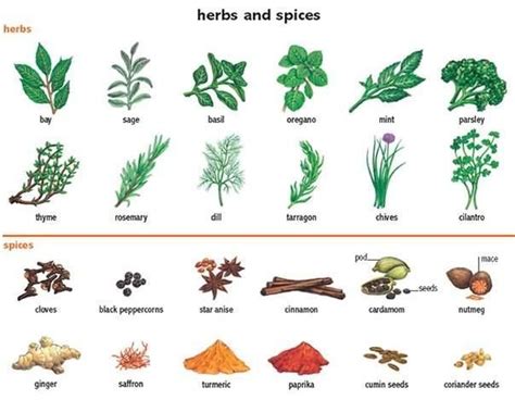 spices in english - Pesquisa Google | Herbs, Plants, Herbs & spices