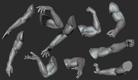 ArtStation - Muscular Male Arms 10 Poses | Resources