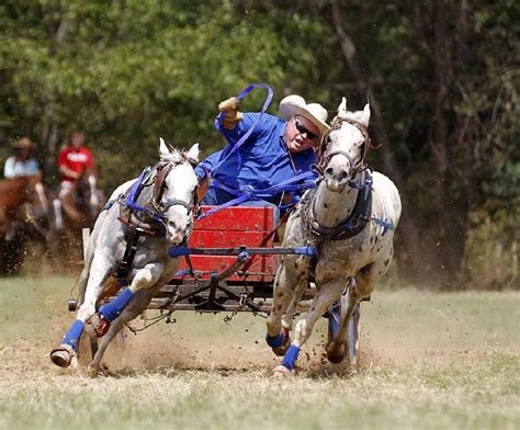 Chuckwagon Racing in Clinton | The Arkansas Democrat-Gazette - Arkansas ...