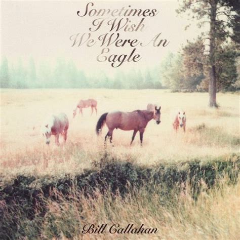 Bill Callahan - Sometimes I Wish We Were an Eagle Lyrics and Tracklist | Genius