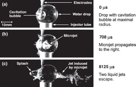 Figure 1 from Cavitation bubble dynamics inside liquid drops in microgravity. | Semantic Scholar