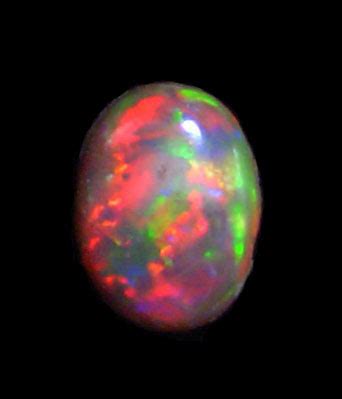 Slika:Black Opal.JPG - Wikipedija, prosta enciklopedija