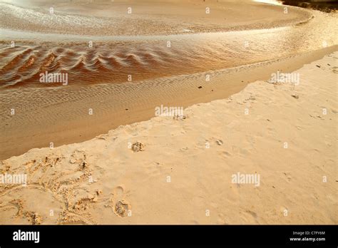 Beach in Bahia Stock Photo - Alamy