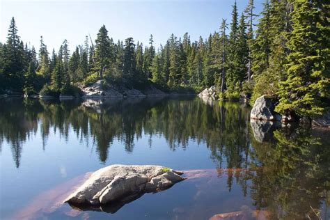 Black Mountain and Cabin Lake | Vancouver Trails