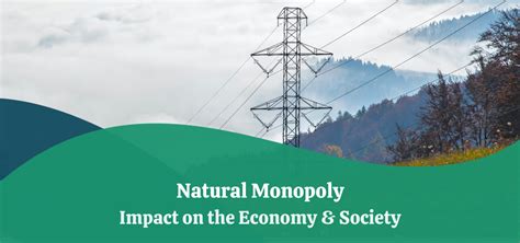 Natural Monopoly | Impact on the Economy & Society