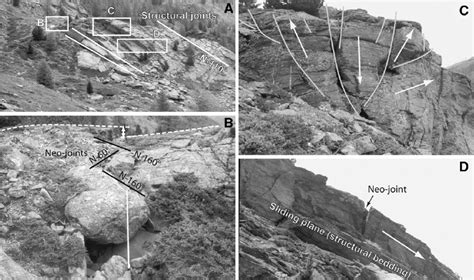 Roche moutonnée outcrop affected by type B rock topples. Site no. 5 ...