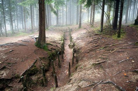 WWI trench in France's Red Zone or "Zone Rouge". Large swathes of the Western Front were ...