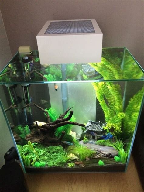 Fluval Edge 46l fish tank | in Walsall, West Midlands | Gumtree