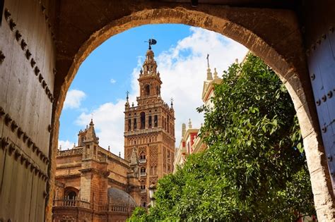 Premium Photo | Seville cathedral giralda tower andalusia spain