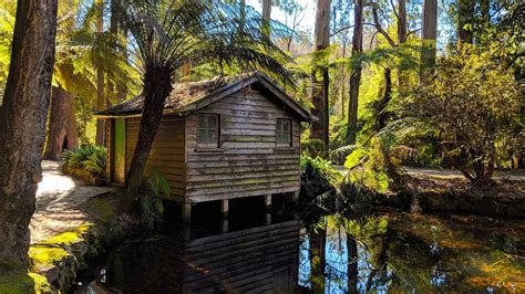 Sherbrooke Forest - Yarra Ranges Accommodation