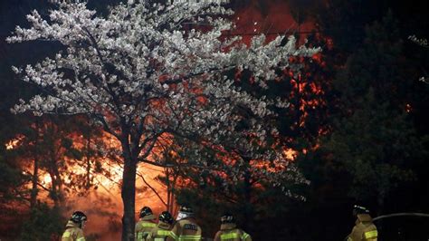 South Korea: Thousands flee wildfire in region of former Winter ...