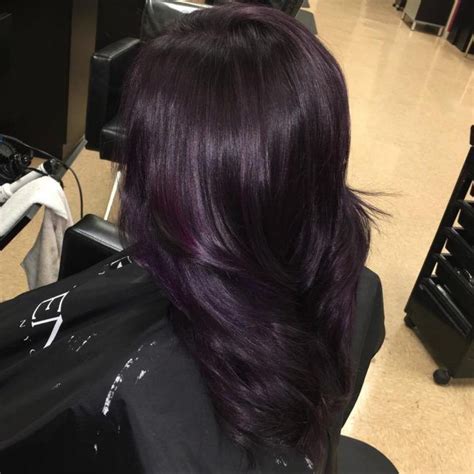 Image result for deep violet chocolate brown hair color Dark Purple ...