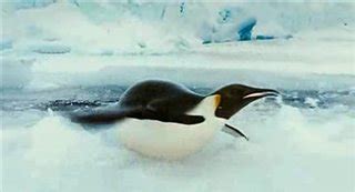 MARCH OF THE PENGUINS Trailer | Movie Trailers