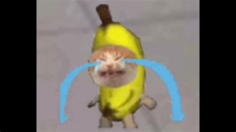 Crying Banana Cat Meme 10 Hours - YouTube