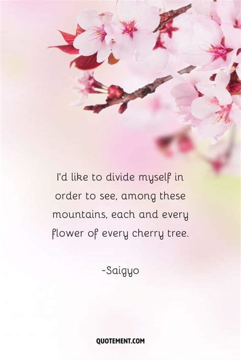 80 Best Cherry Blossom Quotes To Celebrate Perpetual Beauty