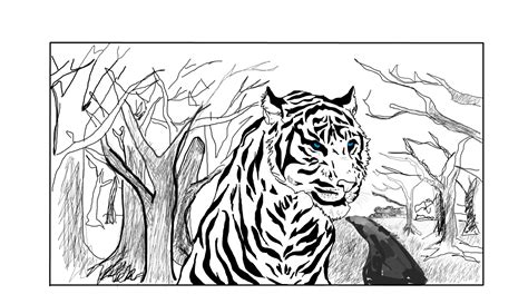 White TIGER » drawings » SketchPort
