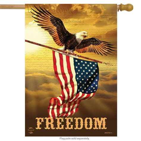 Freedom Patriotic House Flag Bald Eagle USA 28" x 40" Briarwood Lane - Walmart.com - Walmart.com