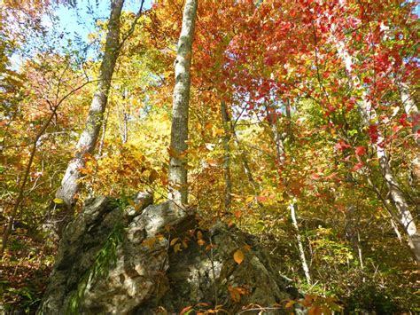 NC Mountains Fall Foliage Report Week 4