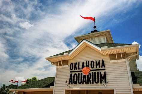 Oklahoma Aquarium - Jenks Oklahoma Photograph by Gregory Ballos