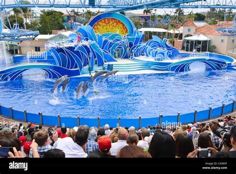 Dolphin seaworld hi-res stock photography and images - Alamy