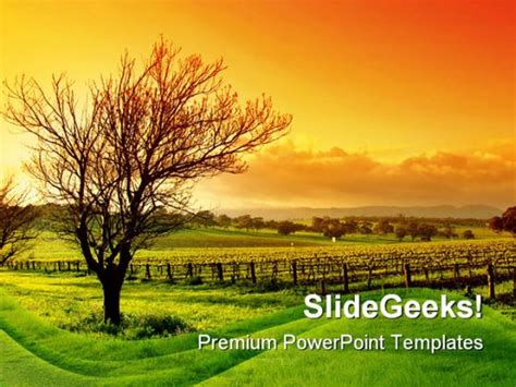 Vineyard Nature PowerPoint Background And Template 1210