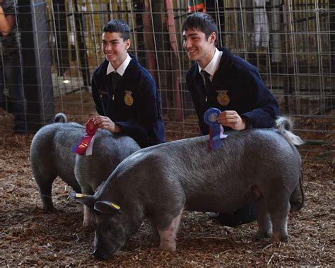 PHOTOS: Cowlitz County Fair