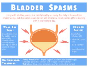 Understanding Bladder Spasms: Causes, Symptoms, and Treatment Options ...