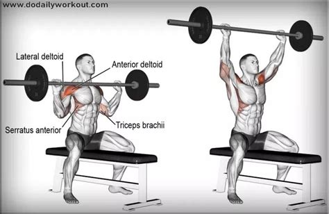 Seated Barbell Overhead Press | DO DAILY WORKOUT | Shoulder workout ...