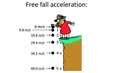 Introduction to Free Fall | The Edge Learning Center