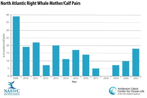 Whale Population Graph 2022