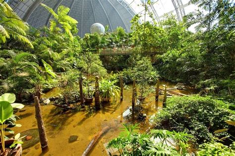 Tropical Island Resort–World's Largest Indoor Rainforest | Amusing Planet