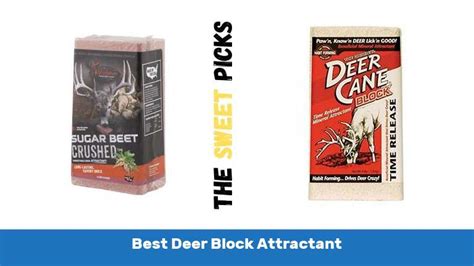 Top 10 Best Deer Block Attractant - The Sweet Picks