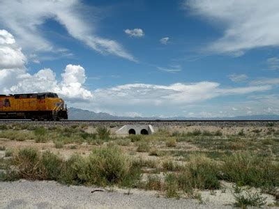 Gossamer Tapestry: Another Adventure at Willcox Playa